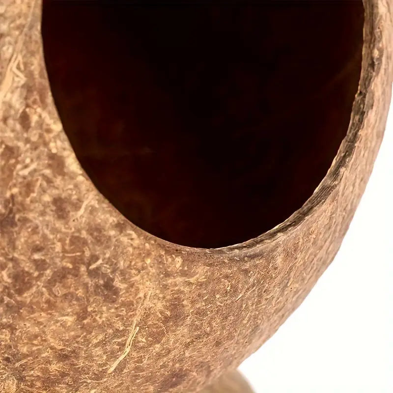 Ausgehölte Kokosnuss