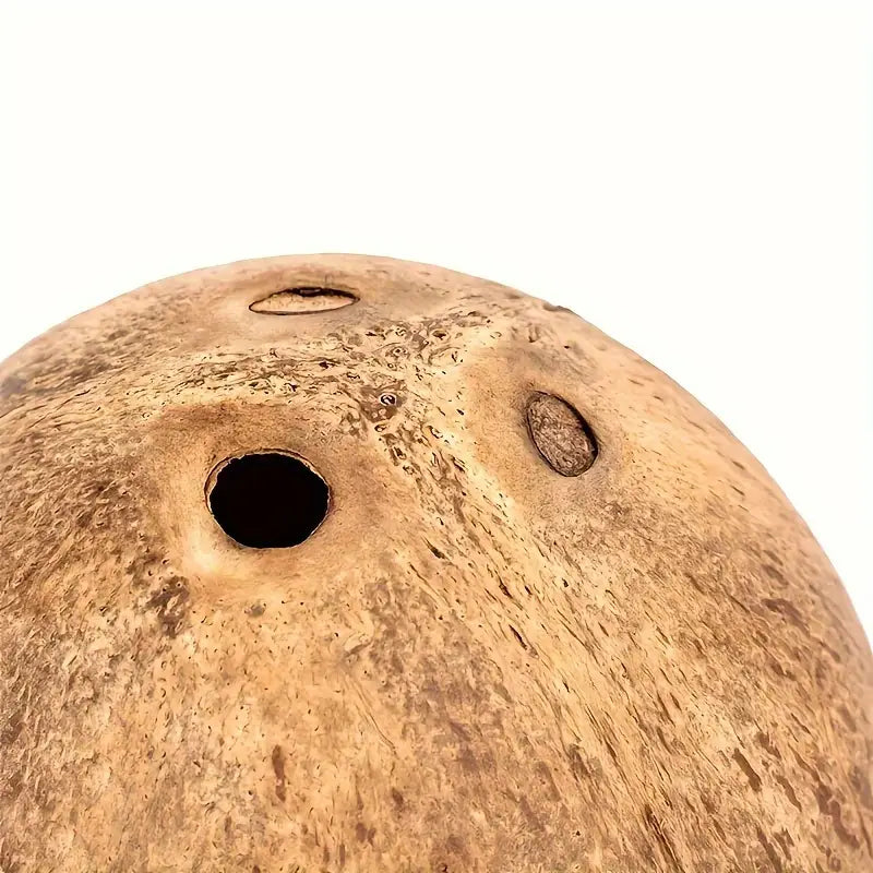 Kokosnuss die ein kleines Gesicht hat