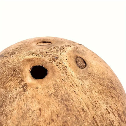 Kokosnuss die ein kleines Gesicht hat