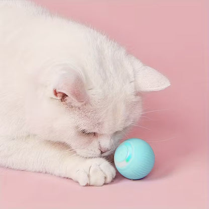 Katzenball mit süsser weissen Katze