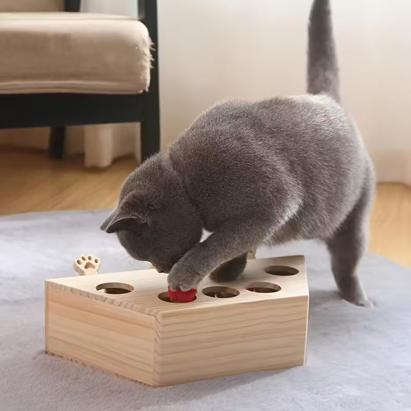 Katzenspielzeug aus Holz das nachhaltig ist